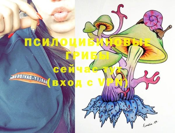 ECSTASY Навашино